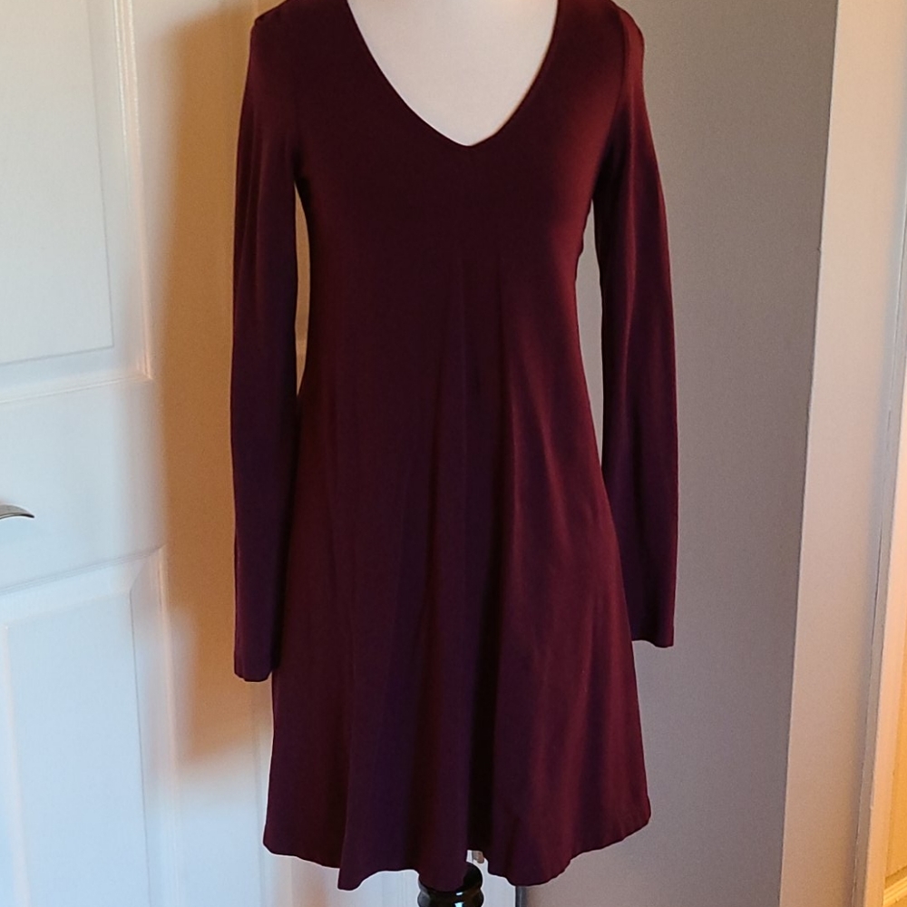 Express Eggplant knee length long sleve dress